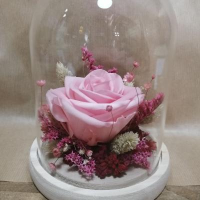 Rose éternelle et fleurs séchées